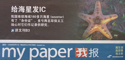 20080811 - My Paper article on Star Trackers