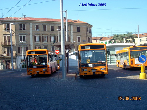 autobus Ancona n° 173 e n° 183