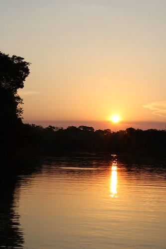 sunset in pantanal