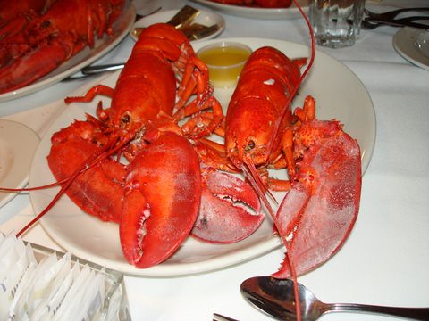 Lobsters Night