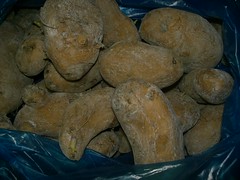 old potatoes
