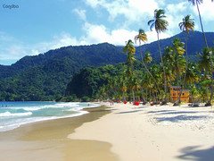 maracas beach trinidad