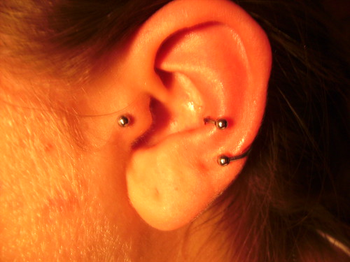 Tragus Piercing Jewelry | Piercing Prices