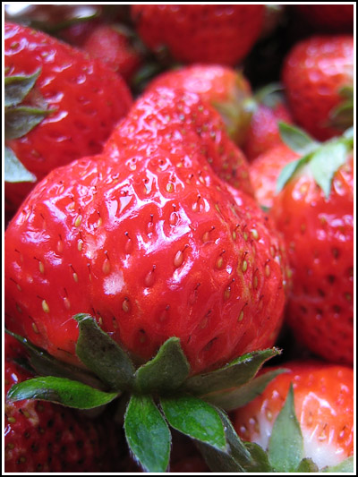 Strawberry copy