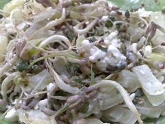 cottage sprout salad