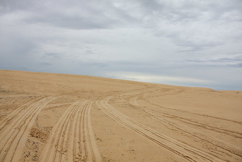 beach sand dunes. Stockton Beach