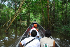 Travelling by Motorised Canoe