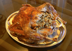 Thanksgiving Turkey 2008