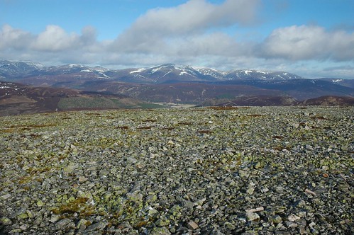 Lichen covered rocks with Cairngorms beyond