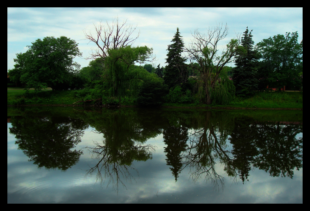 Reflections on a Cloudy Day