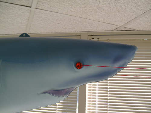 Emergent Product-Management Shark (Analog Lasers close-up)