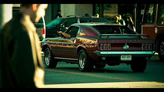 auto street people ontario canada fall classic 1969 car canon movie downtown driving traffic bokeh muscle candid guelph streetphotography style cruising automotive retro vehicle driver cinematic musclecar stang mach1 streetmachine canonef70200mmf4lusm 40d 1969fordmustang canoneos40d 351mustang