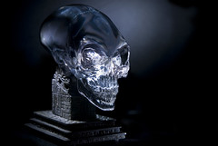 Crystal Skull - Foto di Roberto Corralo