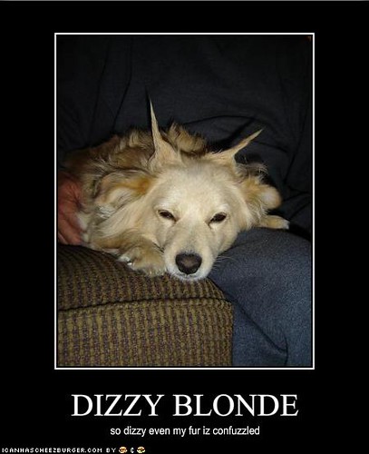 Dizzy Blonde