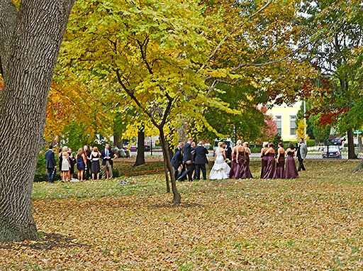 Lafayette Square Neighborhood, in Saint Louis, Missouri, USA - Lafayette Park - wedding