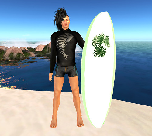 Surferguy 1