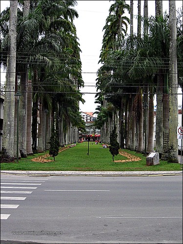 Joinville
