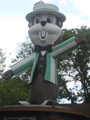 Fairchild the Minnesota State Fair Mascot