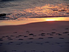 Footprints at sunset (vanessagx) Original Available.  Tags: ocean sunset sea sun reflection beach water waves australia perth westernaustralia