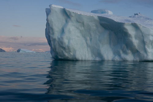Icebergs floating in a rising sea