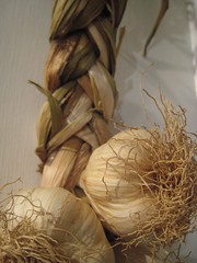 Garlic braid