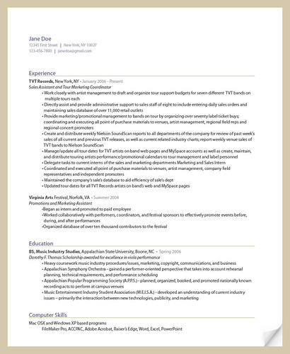 sample resume templates. ResumeBear Online Resume Khaki
