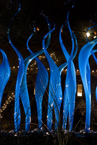 Chihuly_5834