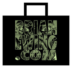 San Diego Comic Con exclusive bag.1.jpg