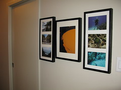 Photos on the wall