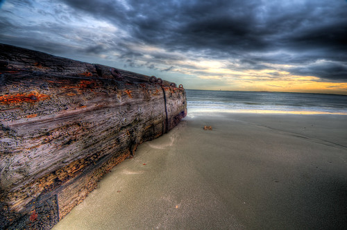 Ocean Battered Wood