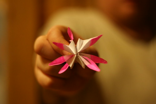 hayden's origami