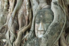 Matathat Buddha Head