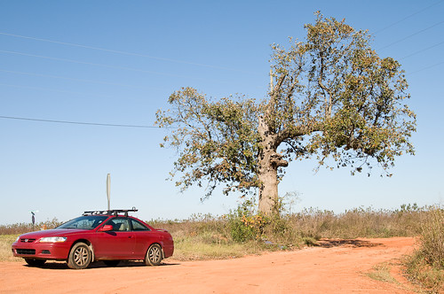 The Jackmobile And The Deformed Tree