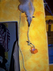 Pua's rope trick with basket