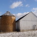 Amish Snowy Corn