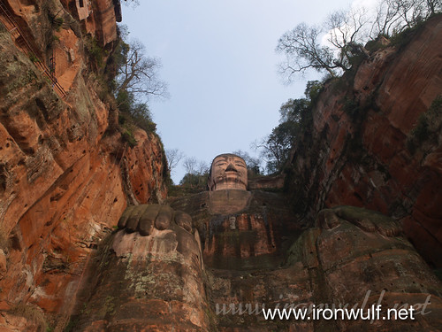 Leshan Giant Buddha Worm View