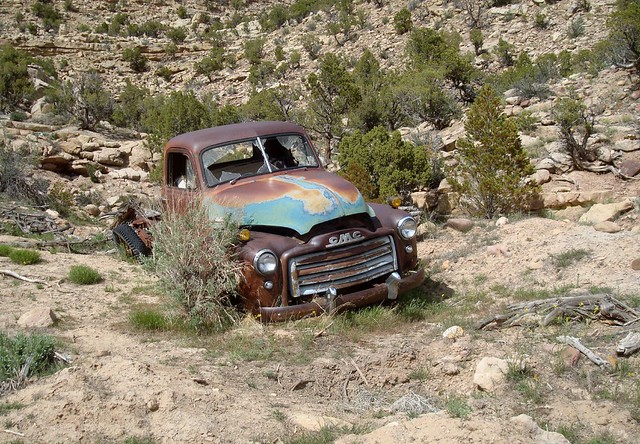 old chevrolet abandoned truck rusty pickup pickuptruck ute chevy aging crusty gmc chev