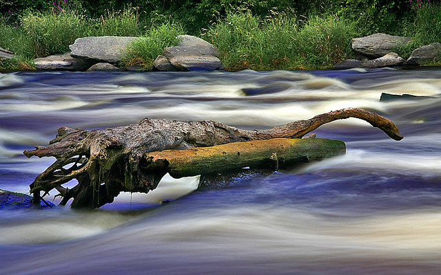 ~ River Log ~