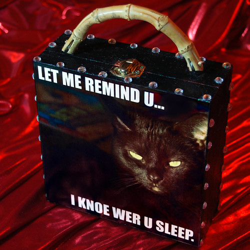 lol cat purse