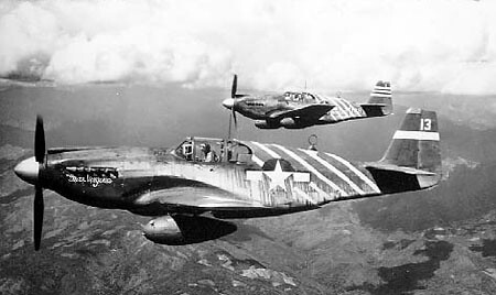 Warbird picture - North American P-51 Mustang