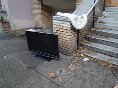 First abandoned flat screen TV I've seen