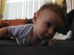 trying to crawl