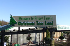 Priory Farm Christmas Tree Land #1