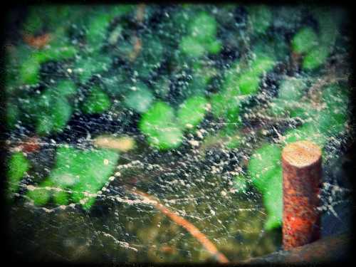 Rainy web with effects