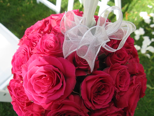 hot pink rose petals. Hot pink rose pomanders will