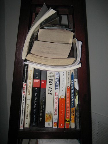 Bookshelf #1