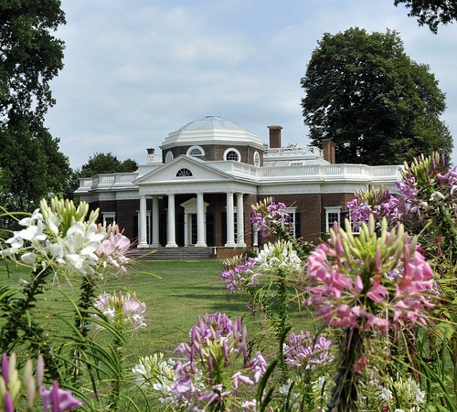Monticello (Through the Flowers)