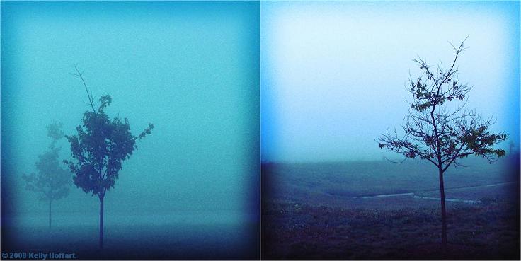 Diptych - Trees in Fog