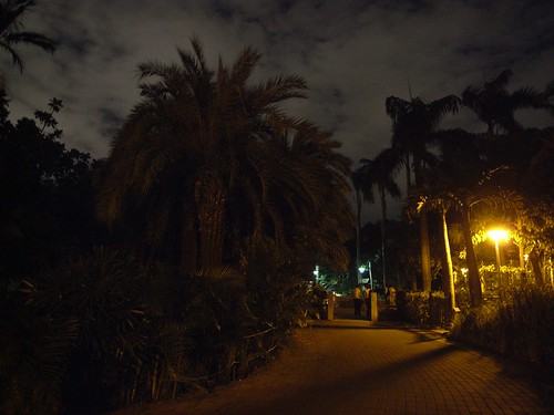 你拍攝的 37植物園的夜。