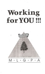 MLGPA brochure - logo